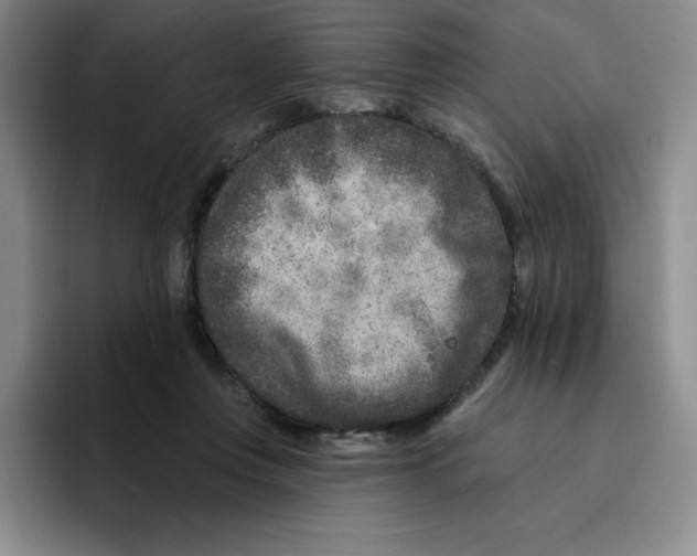 X0000096170359200802151439