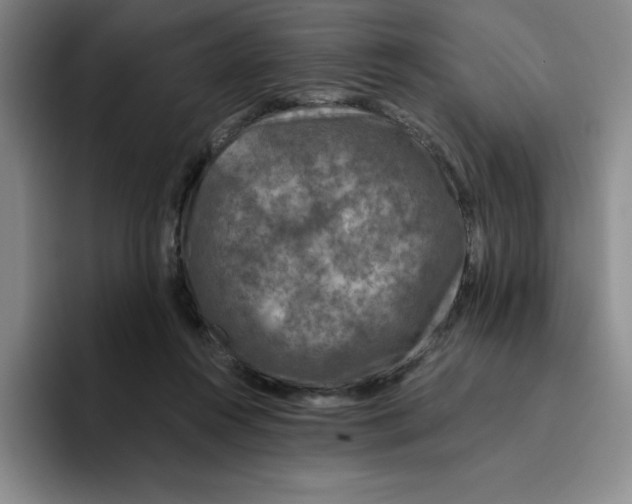 X0000096170360200802151439