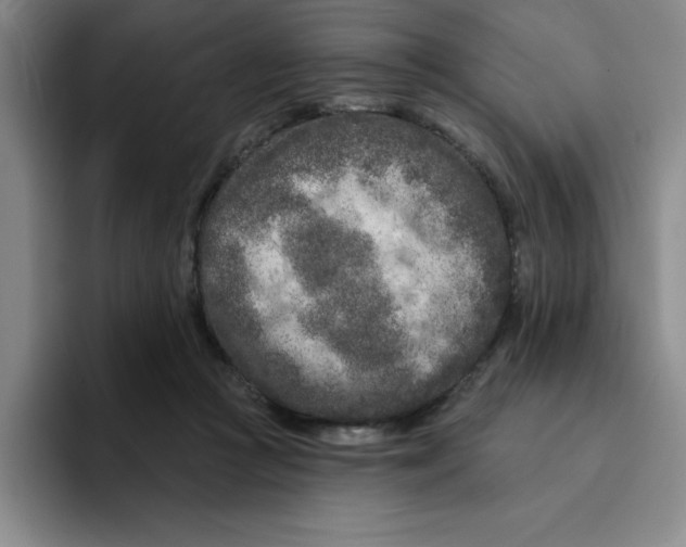X0000096170361200802151439
