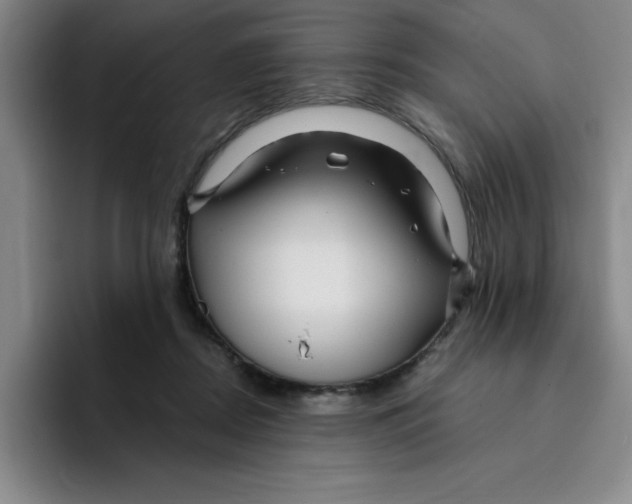 X0000096170362200802151439