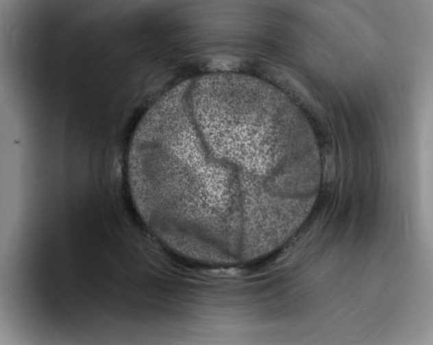 X0000096170363200802151439