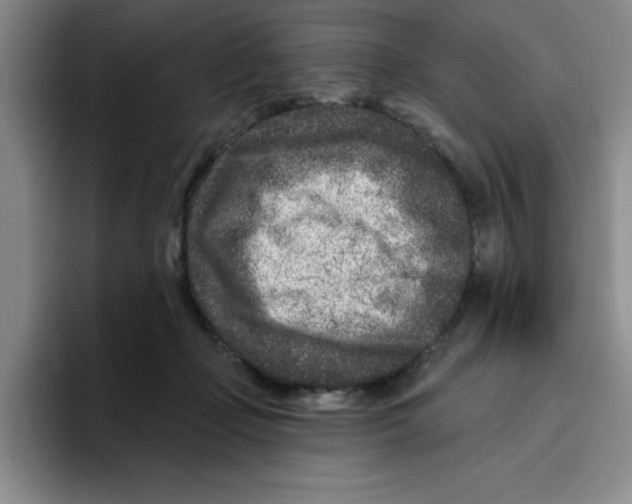 X0000096170365200802151439