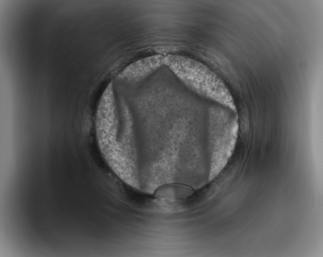 X0000096170367200802151439