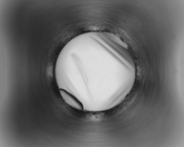X0000096170368200802151439
