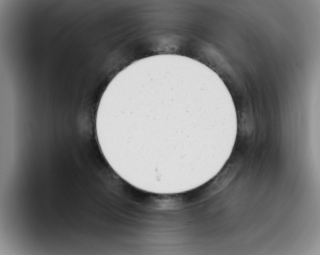 X0000096170370200802151439