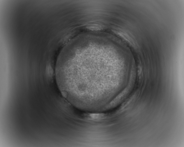 X0000096170371200802151439