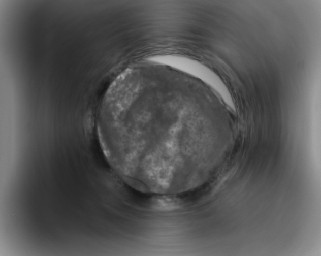 X0000096170372200802151439