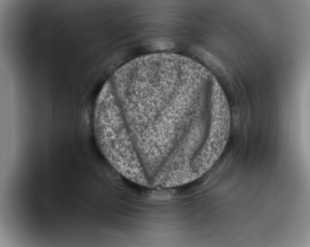 X0000096170373200802151439