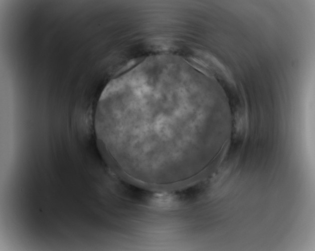 X0000096170376200802151439
