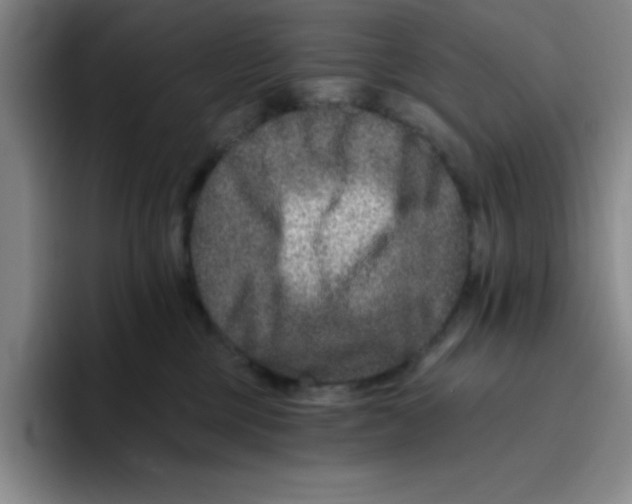 X0000096170377200802151439