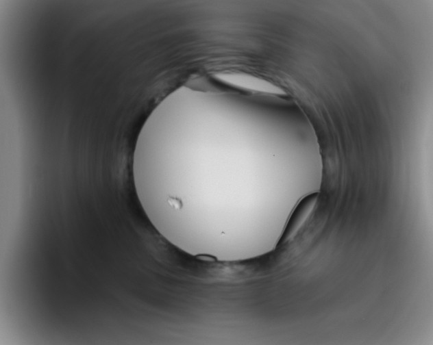 X0000096170379200802151439