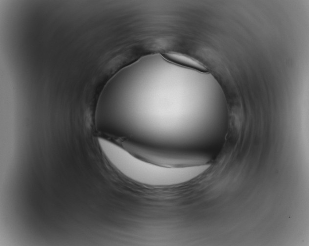 X0000096170380200802151439