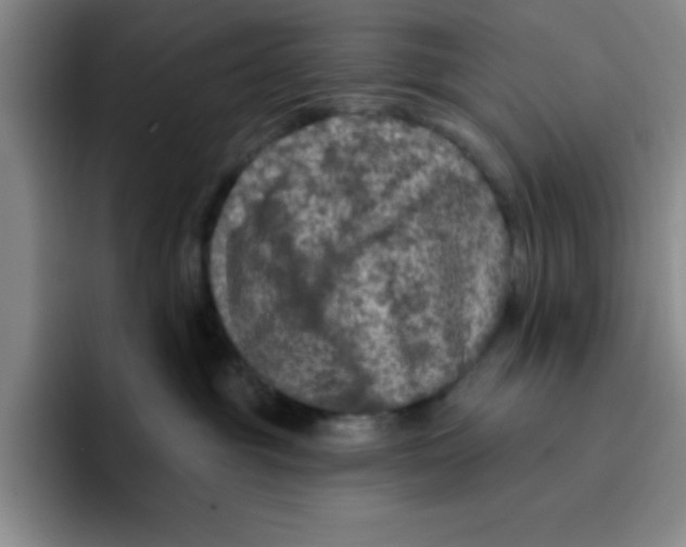 X0000096170381200802151440