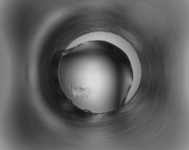 X0000096170382200802151440