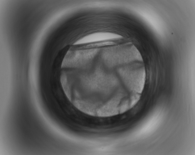 X0000096170383200802151440