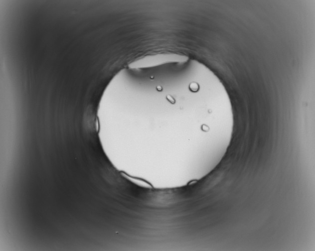 X0000096170384200802151440