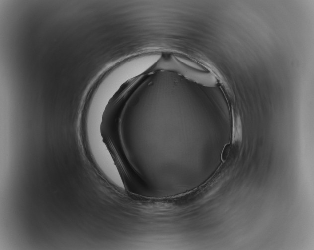 X0000096170387200802151439