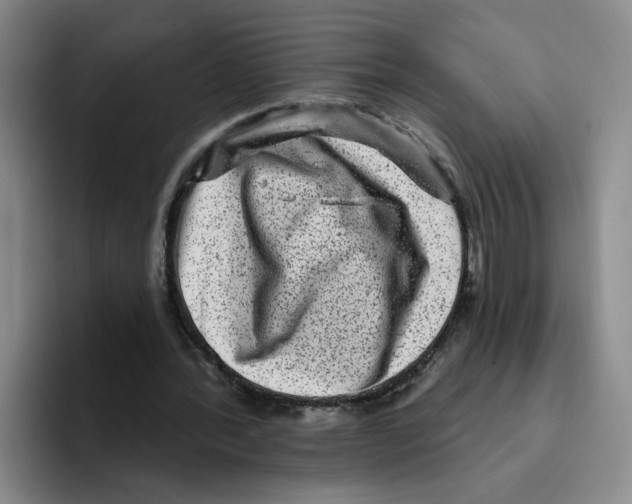 X0000096170388200802151439