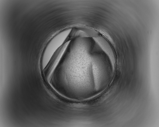 X0000096170389200802151439