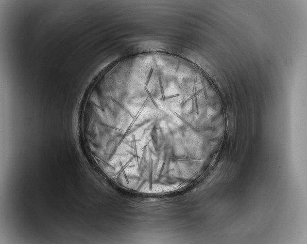 X0000096170390200802151439