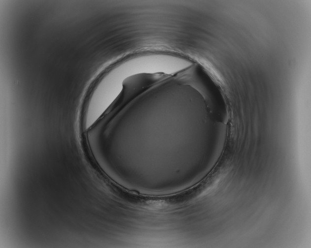 X0000096170391200802151439