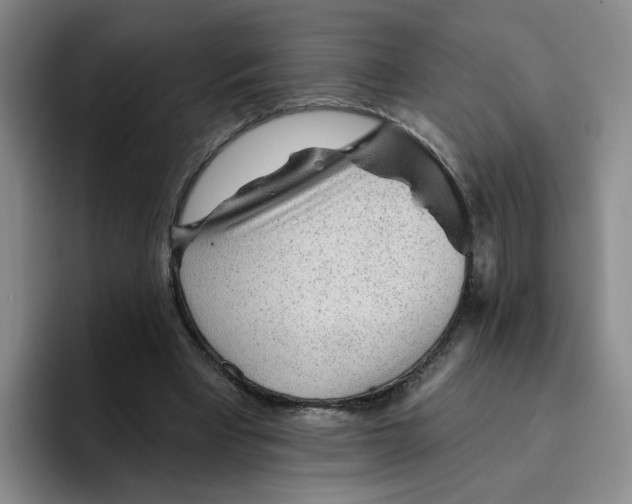 X0000096170393200802151439