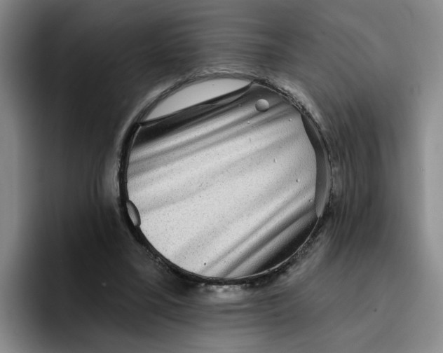 X0000096170395200802151439