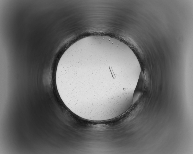 X0000096170396200802151439