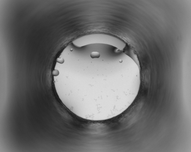 X0000096170397200802151439