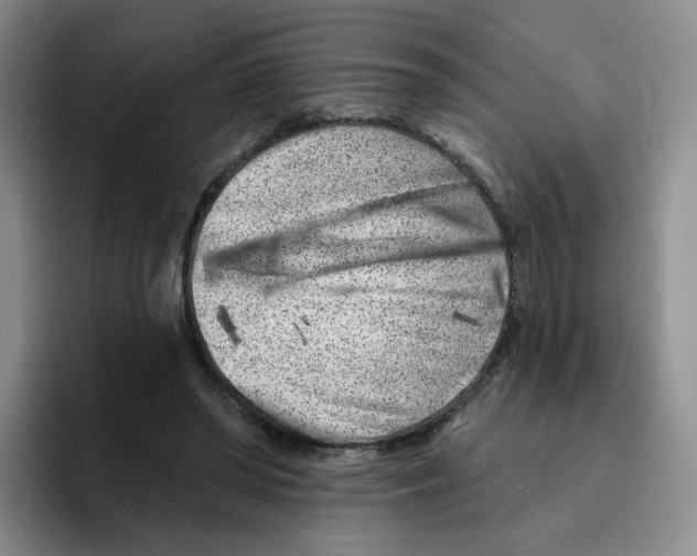 X0000096170398200802151439