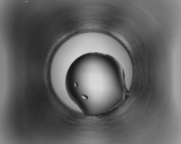 X0000096170399200802151439