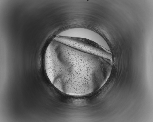 X0000096170400200802151439