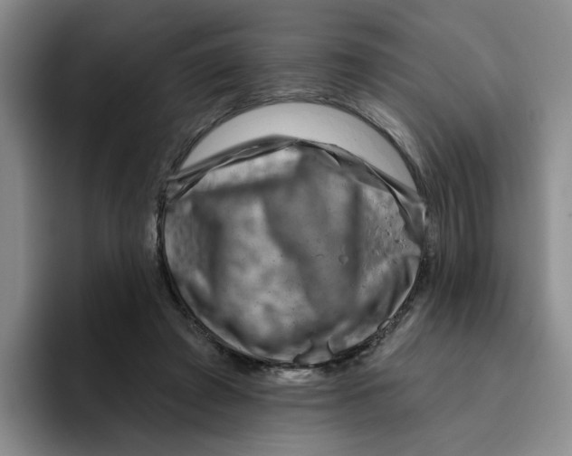 X0000096170401200802151439