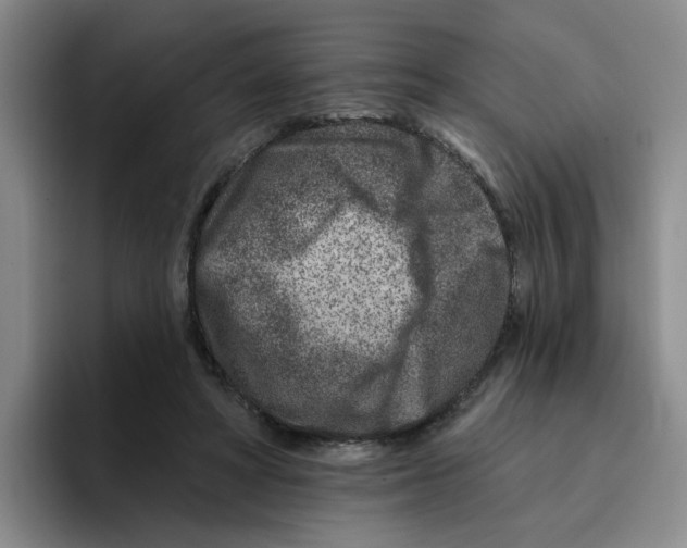 X0000096170402200802151439