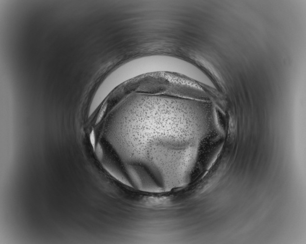 X0000096170403200802151439