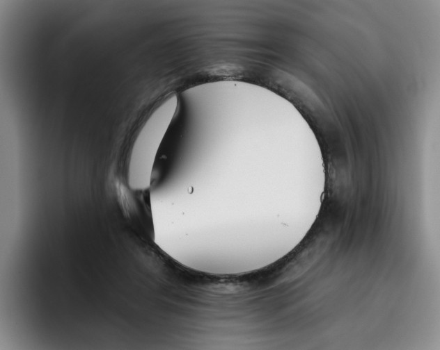 X0000096170404200802151439