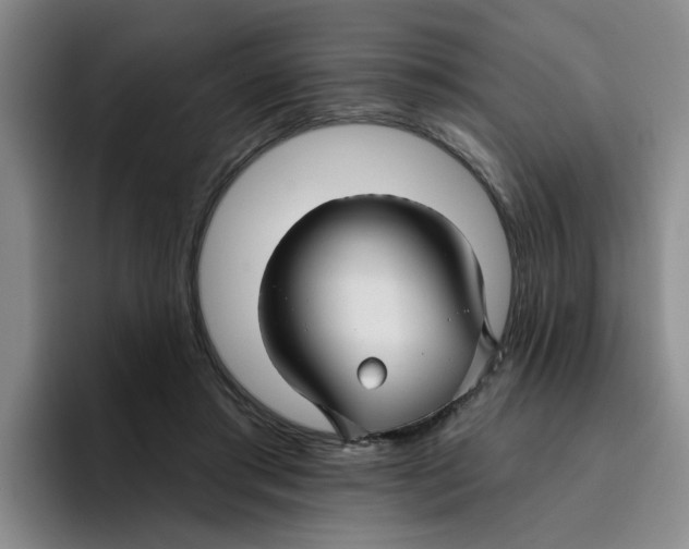 X0000096170405200802151439
