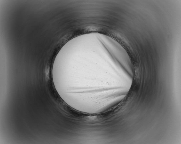 X0000096170406200802151439