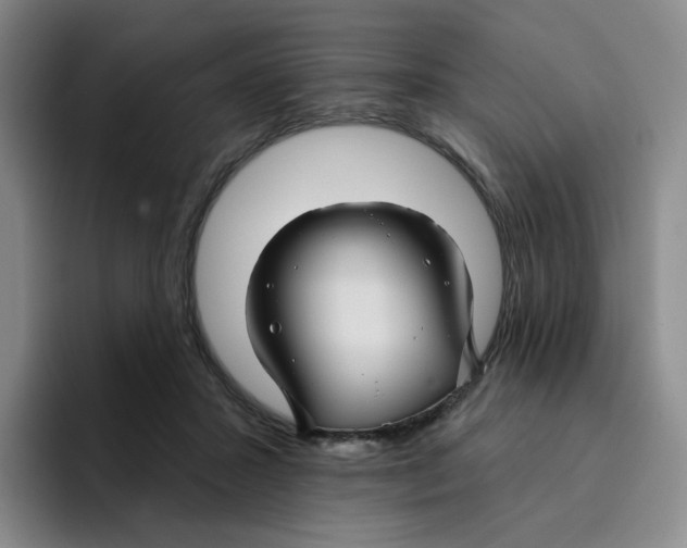 X0000096170407200802151439