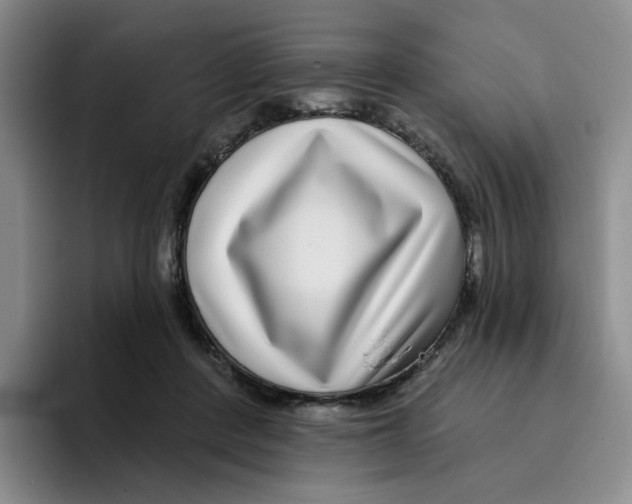 X0000096170408200802151439