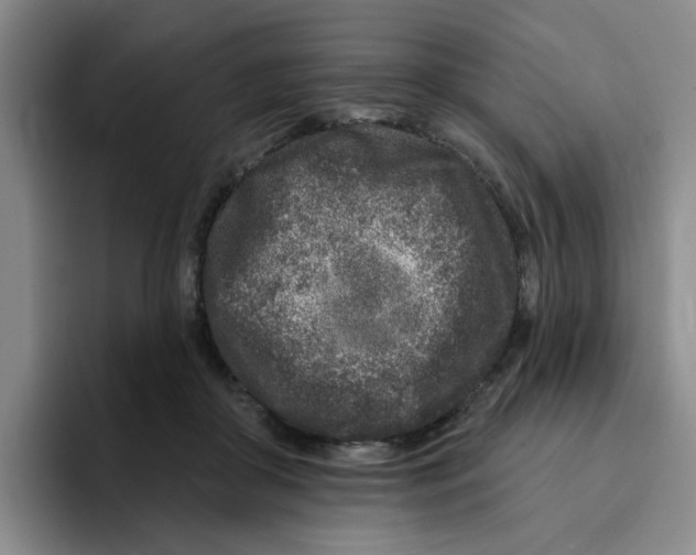 X0000096170410200802151439