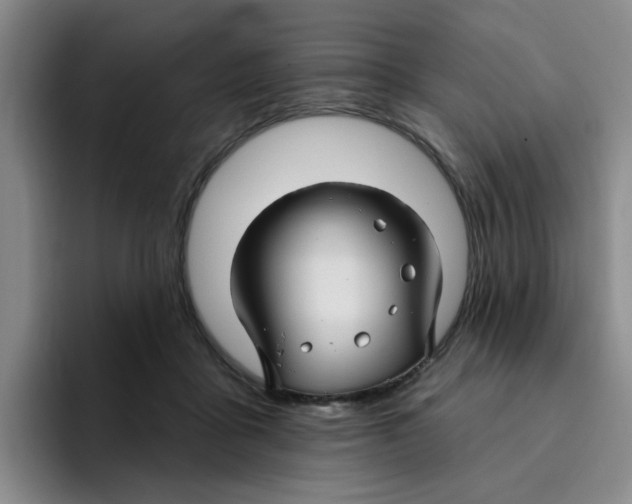 X0000096170411200802151439