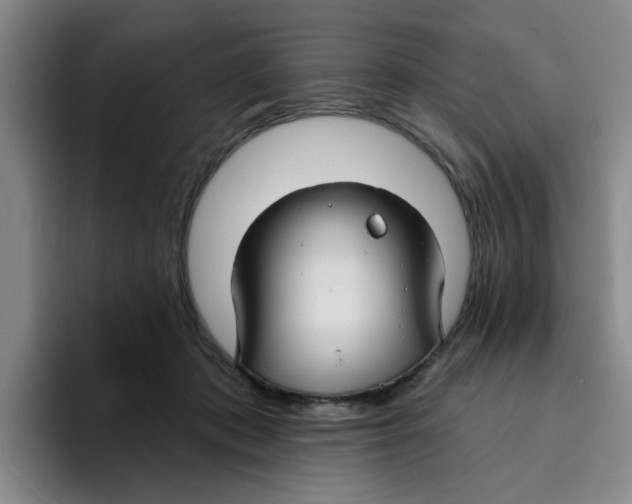 X0000096170413200802151439