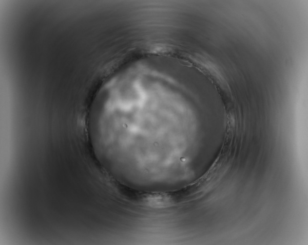 X0000096170415200802151439