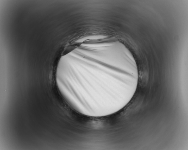 X0000096170416200802151439