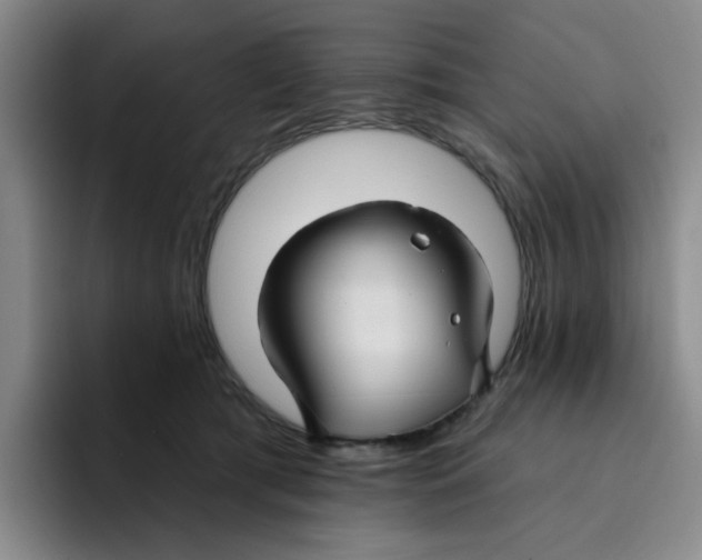 X0000096170417200802151439