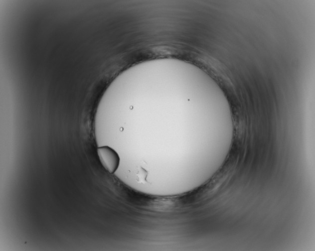 X0000096170418200802151438