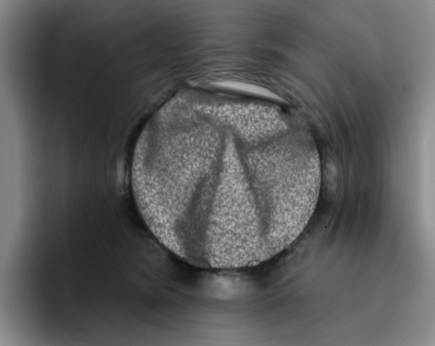 X0000096170420200802151438