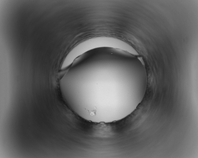 X0000096170421200802151438