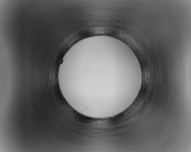X0000096170422200802151438